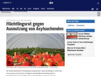 Bild zum Artikel: Flüchtlingsrat gegen Ausnutzung von Asylsuchenden