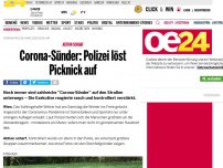 Bild zum Artikel: Corona-Kontrollen: Aktion Scharf auf der Donauinsel