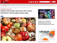 Bild zum Artikel: Ohne Maß und Vernunft - Kaufen ohne Ende, dann ab in die Tonne: Hamsterer werfen gutes Essen weg