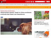 Bild zum Artikel: Historisches Gesetz: Stadt in China verbietet erstmals das Essen von Haustieren