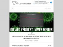 Bild zum Artikel: Rechtsextreme in der Krise: 3 Gründe, warum die AfD immer weiter verliert