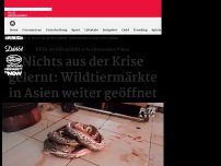 Bild zum Artikel: Nichts aus der Krise gelernt