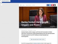 Bild zum Artikel: Katarina Barley fordert Härte gegen Ungarn und Polen