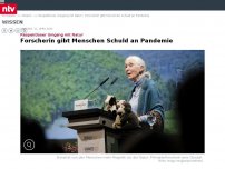 Bild zum Artikel: Respektloser Umgang mit Natur: Forscherin gibt Menschen Schuld an Pandemie