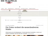 Bild zum Artikel: Neues Leben