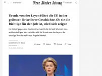 Bild zum Artikel: Ursula von der Leyen steht auf verlorenem Posten