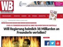 Bild zum Artikel: Will Regierung heimlich 38 Milliarden an Freunderln verteilen?