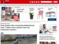 Bild zum Artikel: Kein Geld für Futter - Zoos denken über drastische Maßnahmen nach: 'Haben Liste, welche Tiere wir schlachten müssen'