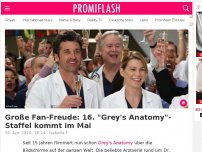 Bild zum Artikel: Große Fan-Freude: 16. 'Grey's Anatomy'-Staffel kommt im Mai