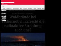 Bild zum Artikel: Feuer in Tschernobyl