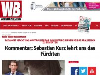 Bild zum Artikel: Kommentar: Sebastian Kurz lehrt uns das Fürchten