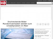 Bild zum Artikel: Erschreckendes Video: Wenn Mundschutz zum Umweltproblem wird