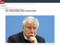 Bild zum Artikel: Hoher Beamter übergeht Seehofer: Das steckt hinter dem Corona-Leak