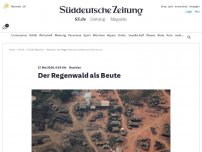 Bild zum Artikel: Brasilien: Der Regenwald als Beute