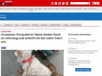 Bild zum Artikel: In Neu-Delhi - Grausame Tierquälerei: Mann bindet Hund an Fahrzeug und schleift ihn bei voller Fahrt mit