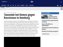 Bild zum Artikel: Demo gegen Rassismus in Hamburg abgebrochen