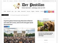 Bild zum Artikel: Experten geben Entwarnung: Menschen infizieren sich nicht mit Corona, wenn sie für eine gute Sache demonstrieren