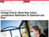 Bild zum Artikel: Virologe Streeck: Mund-Nase-Schutz „wunderbarer Nährboden für Bakterien und Pilze“