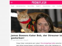 Bild zum Artikel: James Bowens Kater Bob, der Streuner ist gestorben!