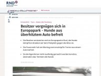 Bild zum Artikel: Besitzer vergnügen sich in Europapark - Hunde aus überhitztem Auto befreit