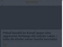 Bild zum Artikel: Pitbull bezahlt im Kampf gegen eine aggressive Schlange mit seinem Leben – hatte die Kinder seiner Familie beschützt