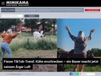 Bild zum Artikel: Fieser TikTok-Trend: Kühe erschrecken – ein Bauer macht jetzt seinem Ärger Luft