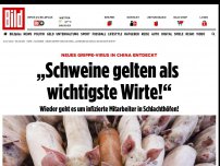 Bild zum Artikel: Neues Grippe-Virus entdeckt - Lauert nach Corona schon die nächste Pandemie?