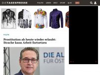 Bild zum Artikel: Prostitution ab heute wieder erlaubt: Strache kann Arbeit fortsetzen