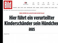 Bild zum Artikel: Opfer (9) stellte ihm Falle - Hier führt ein Kinderschänder sein Hündchen aus