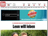 Bild zum Artikel: 13-Jähriger braucht Stammzellenspende - Leon will leben