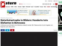 Bild zum Artikel: Massensterben in Botswana: Naturdrama in Bildern: Hunderte tote Elefanten beunruhigen Experten