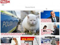 Bild zum Artikel: Mann fährt Katze an, dann steigt er aus dem Auto und wirft sie mehrfach zu Boden