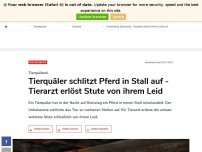 Bild zum Artikel: Freudenberg (Oberpfalz): Tierquäler schlitzt Pferd in Stall auf