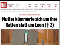 Bild zum Artikel: Prozess um verdurstetes Kind - Mutter kümmerte sich um ihre Ratten statt um Leon (†2)