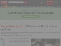 Bild zum Artikel: Wieder eine Katze in Graz gehäutet