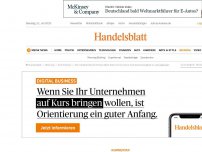 Bild zum Artikel: Kommentar: Die Niederlande gefährden die EU – und auch sich selbst