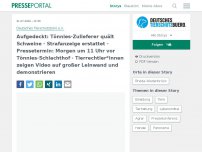 Bild zum Artikel: Aufgedeckt: Tönnies-Zulieferer quält Schweine - Strafanzeige erstattet - Pressetermin: Morgen um 11 Uhr vor Tönnies-Schlachthof - Tierrechtler*innen zeigen Video auf großer Leinwand und demonstrieren