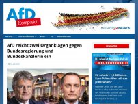 Bild zum Artikel: AfD reicht zwei Organklagen gegen Bundesregierung und Bundeskanzlerin ein