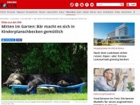 Bild zum Artikel: Video aus den USA - Mitten im Garten: Bär macht es sich in Kinderplanschbecken gemütlich