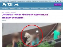 Bild zum Artikel: „Nochmal!“ – Wenn Kinder den eigenen Hund schlagen und quälen