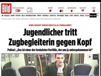 Bild zum Artikel: Wer kennt diesen Brutalo-Teenager? - Jugendlicher trat Zugbegleiterin gegen Kopf