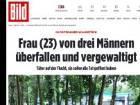 Bild zum Artikel: In Potsdamer Waldstück - Frau von drei Männern überfallen und vergewaltigt