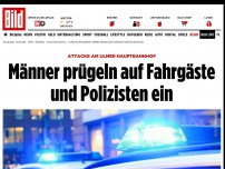 Bild zum Artikel: Am Ulmer Hauptbahnhof - Männer prügeln auf Fahrgäste und Polizisten ein