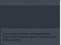 Bild zum Artikel: Katzenbaby ‚Charlie‘ mit angeklebten Feuerwerkskörpern schwer verbrannt & in Müll geworfen