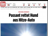 Bild zum Artikel: Besitzer angezeigt - Passant rettet Hund aus Hitze-Auto