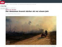 Bild zum Artikel: Fleisch für die Welt: Der Amazonas brennt stärker als vor einem Jahr