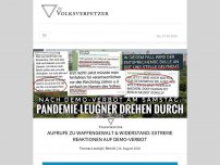 Bild zum Artikel: Aufrufe zu Waffengewalt & Widerstand: Extreme Reaktionen auf Demo-Verbot