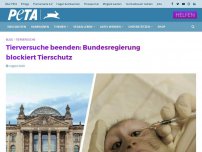 Bild zum Artikel: Tierversuche beenden: Bundesregierung blockiert Tierschutz