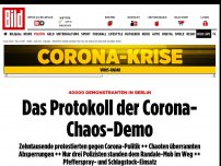 Bild zum Artikel: 40000 Demonstranten in Berlin - Das Protokoll der Corona-Chaos-Demo