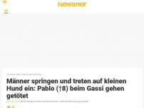 Bild zum Artikel: Männer springen und treten auf kleinen Hund ein: Pablo (†8) beim Gassi gehen getötet